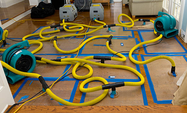 Professional Flood Damage Restoration technician working in Buckland, MA
